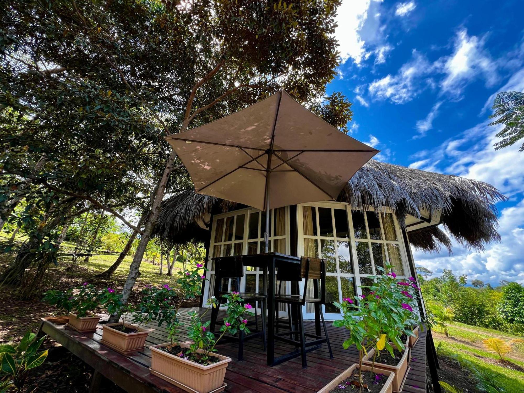 El Resort De Yanashpa - Tarapoto Room photo